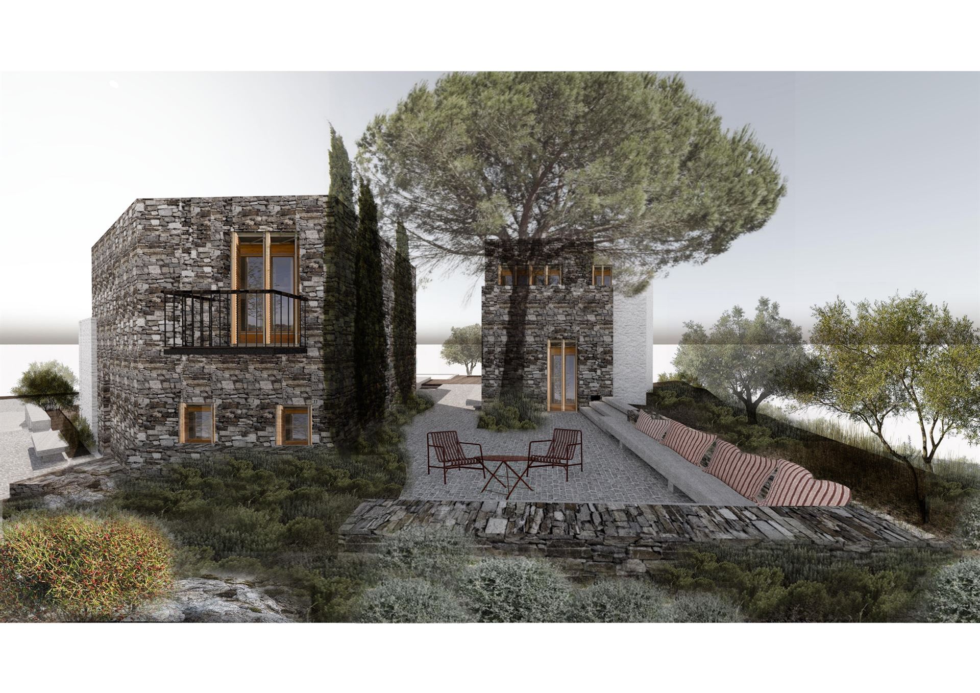 Forest gallery image