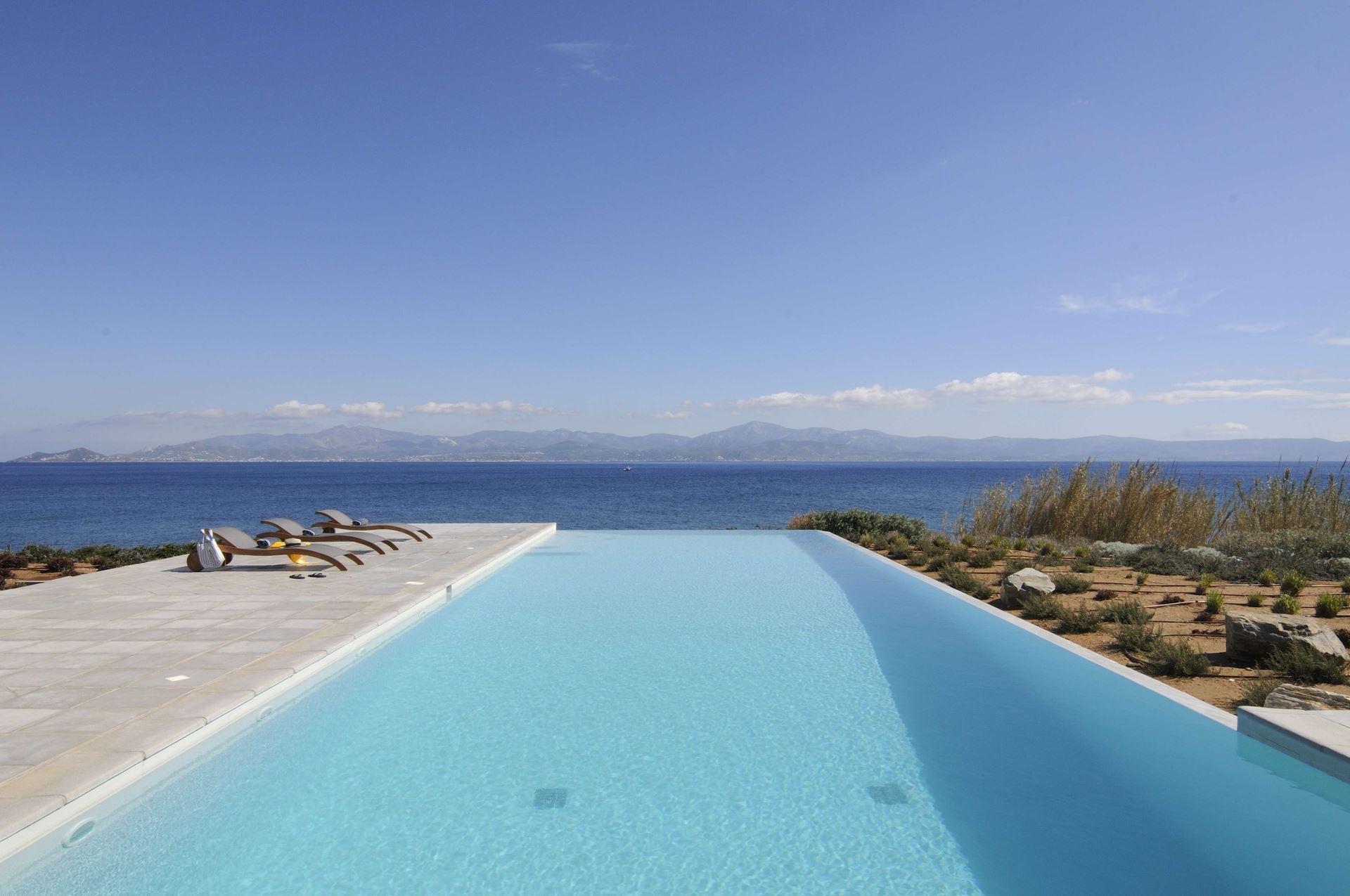 Harmonica gallery image