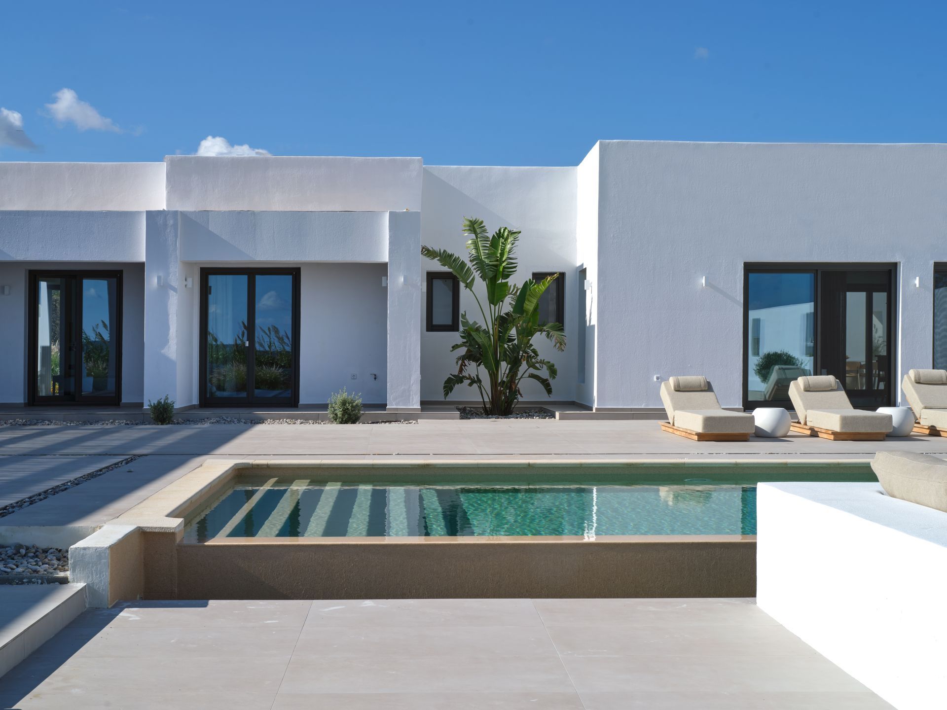Aloe gallery image